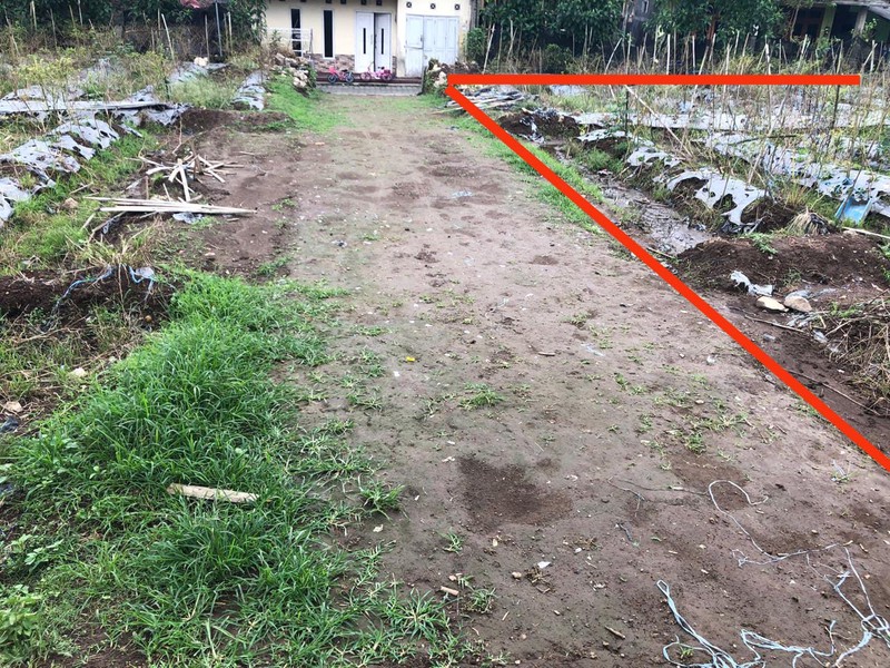 Kavling Premium Di Temanggung Hanya 50m Dari Jalan Raya, Cocok Untuk Homestay, Medari, Ngadirejo, Temanggung