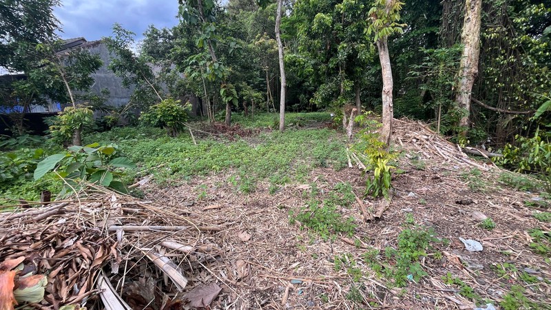 Tanah Strategis Dekat Kampus UII Potensi Tinggi Untuk Kost & Kavling, Sardonoharjo, Ngaglik, Sleman