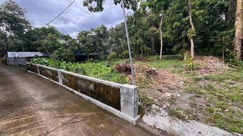 Tanah Strategis Dekat Kampus UII Potensi Tinggi Untuk Kost & Kavling, Sardonoharjo, Ngaglik, Sleman