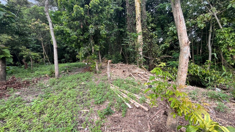 Tanah Strategis Dekat Kampus UII Potensi Tinggi Untuk Kost & Kavling, Sardonoharjo, Ngaglik, Sleman