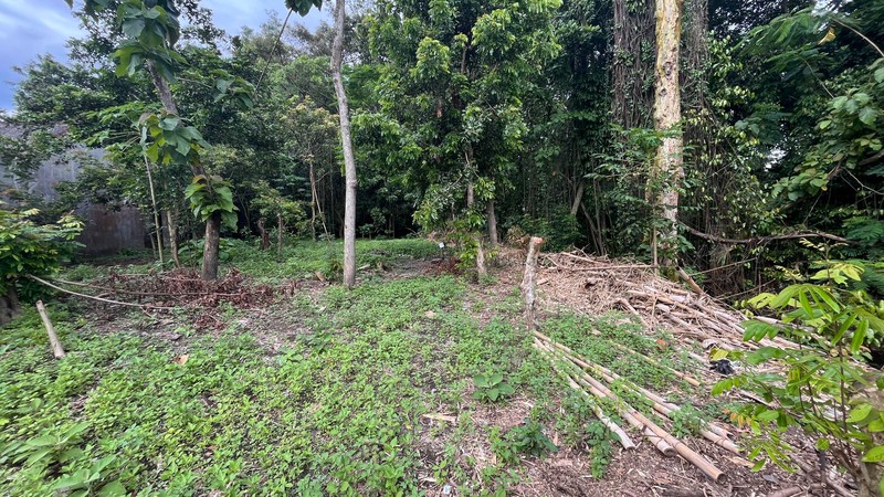 Tanah Strategis Dekat Kampus UII Potensi Tinggi Untuk Kost & Kavling, Sardonoharjo, Ngaglik, Sleman