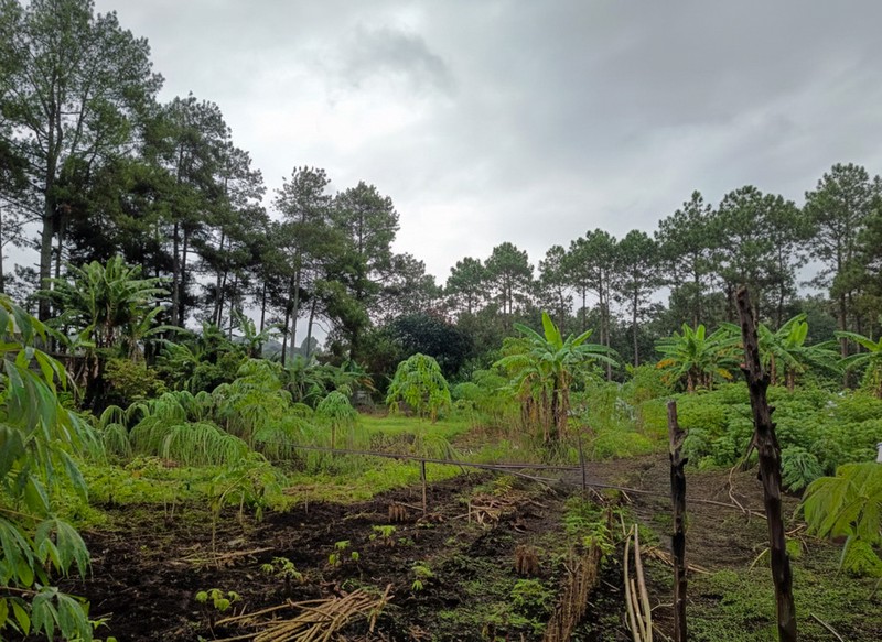 Tanah di Cidadap Bandung dekat Sersan Bajuri Sukasari, Budi Indah