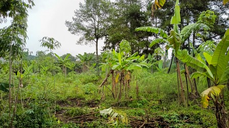 Tanah di Cidadap Bandung dekat Sersan Bajuri Sukasari, Budi Indah