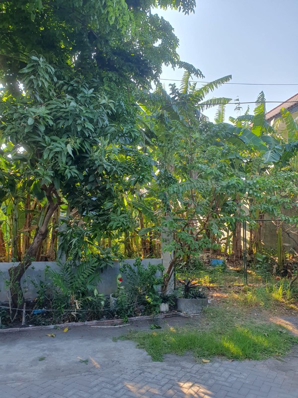 Dijual Tanah Kavling lokasi strategis dekat Dunkin Donat Jemursari Surabaya