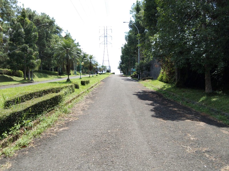 Rumah Besar dengan Halaman Luas dan Asri di Pondok Hijau