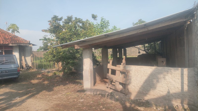 Tanah bonus bangunan Walet di Jln. Jenderal Sudirman Podomoro Priingsewu Lampung