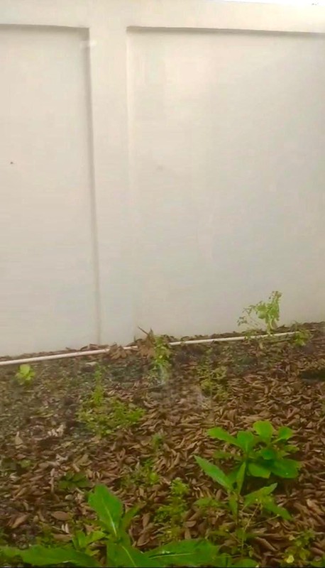 Rumah Minimalis, Brand New, Siap Huni 