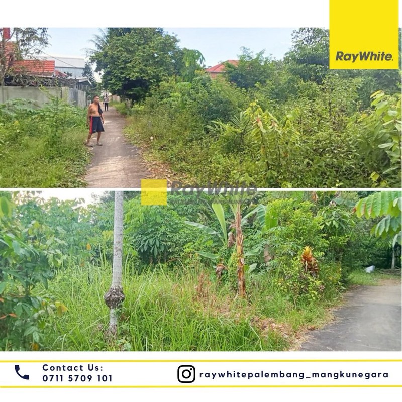 Dijual Tanah Kaplingan Murah 