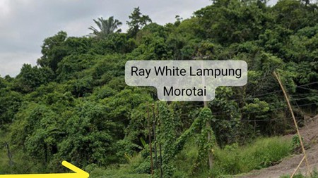 Tanah dijual Zona Industri Sutami way laga soekarno hatta 