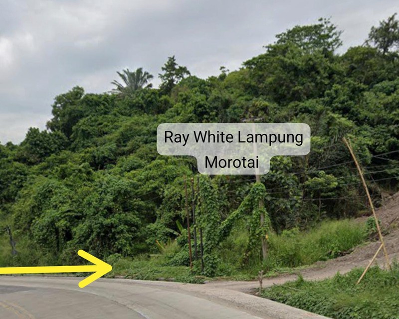 Tanah dijual Zona Industri Sutami way laga soekarno hatta 