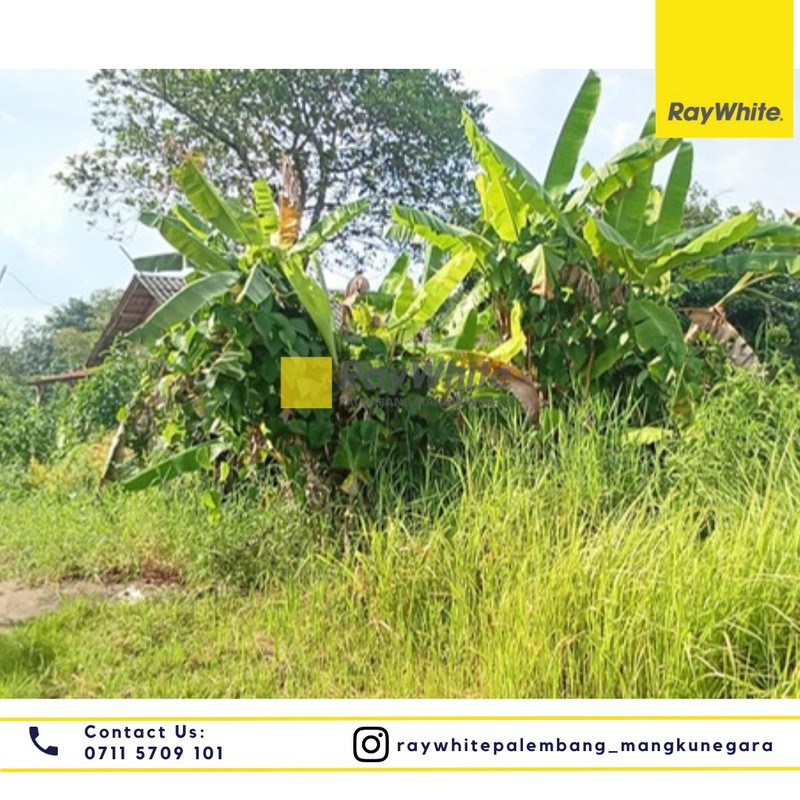 Dijual Tanah Murah di Kota Palembang