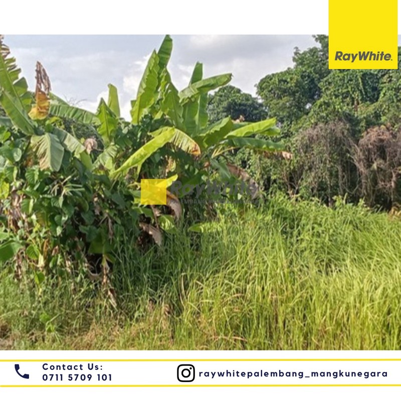 Dijual Tanah Murah di Kota Palembang