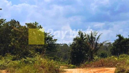 TANAH DI JAMBI HARGA DI BAWAH NJOP