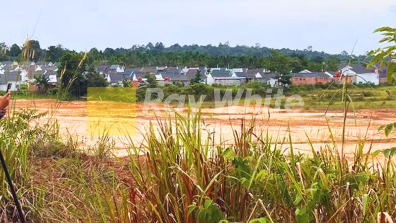 TANAH DI JAMBI HARGA DI BAWAH NJOP