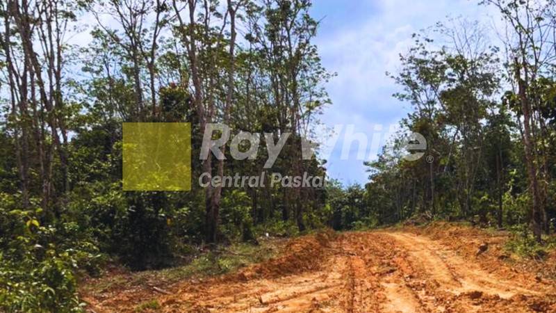 TANAH DI JAMBI HARGA DI BAWAH NJOP