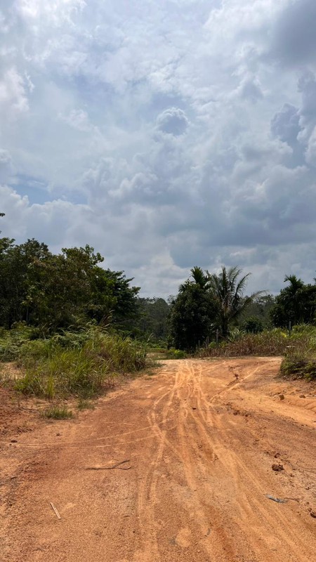 TANAH DI JAMBI HARGA DI BAWAH NJOP