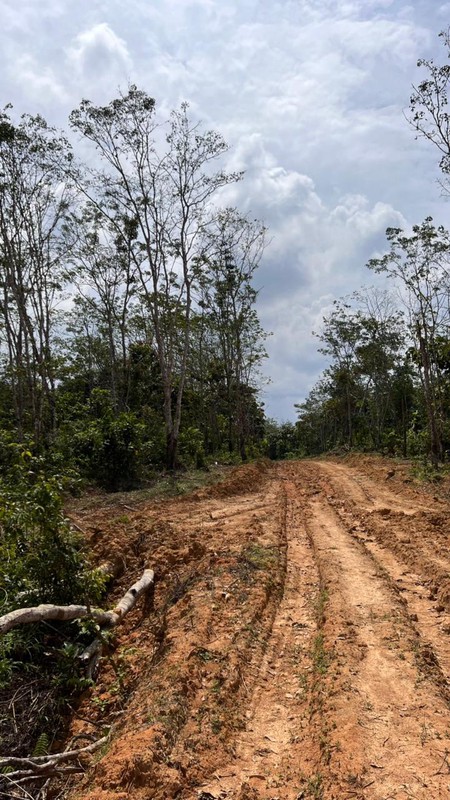 TANAH DI JAMBI HARGA DI BAWAH NJOP