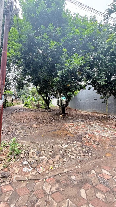 Kavling Di Sewakan Di Jl P Harapan, Parigi Pondok Aren Tangerang Selatan