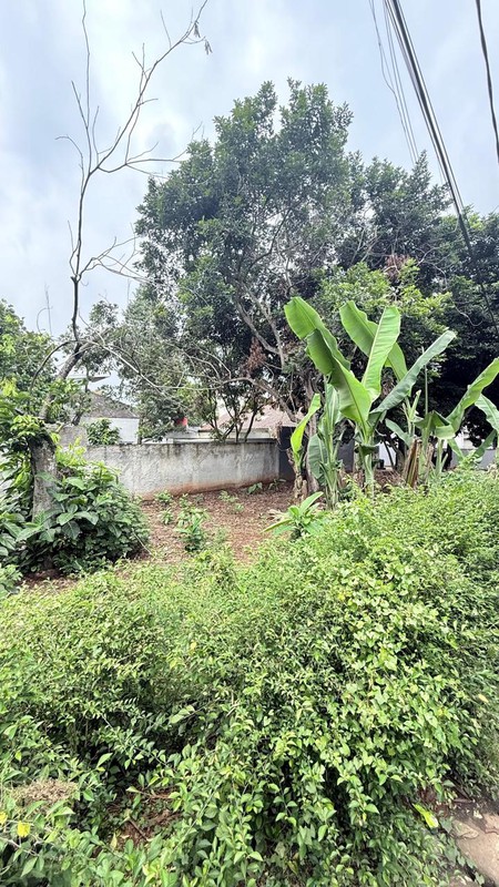 Kavling Di Sewakan Di Jl P Harapan, Parigi Pondok Aren Tangerang Selatan