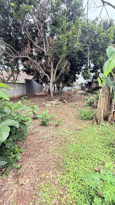 Kavling Di Sewakan Di Jl P Harapan, Parigi Pondok Aren Tangerang Selatan
