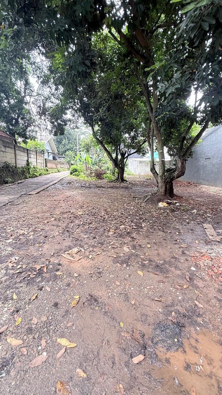 Kavling Di Sewakan Di Jl P Harapan, Parigi Pondok Aren Tangerang Selatan