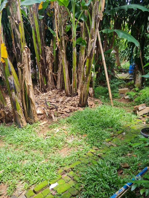 Rumah Bagus Di Jl Matraman Dalam Pegangsaan Jakarta Pusat