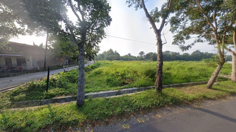 Dijual Tanah Sawah Premium Lokasi Strategis & Prospektif di Pandowoharjo, Sleman 