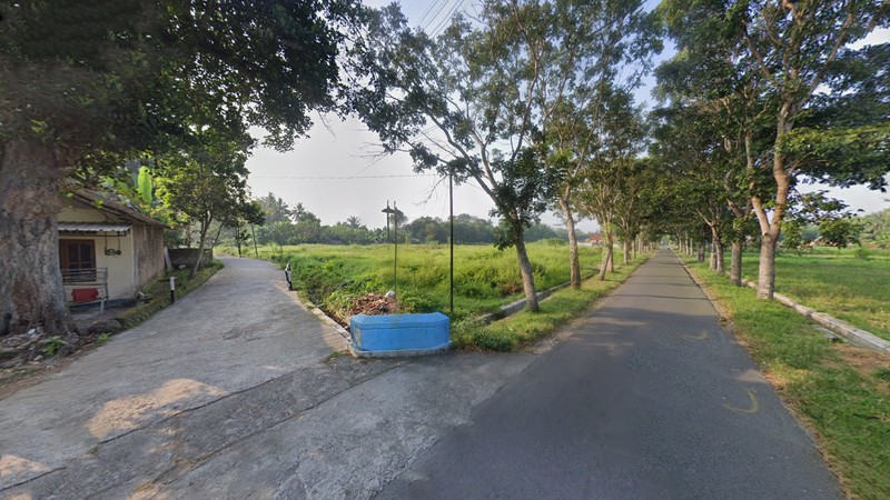 Dijual Tanah Sawah Premium Lokasi Strategis & Prospektif di Pandowoharjo, Sleman 