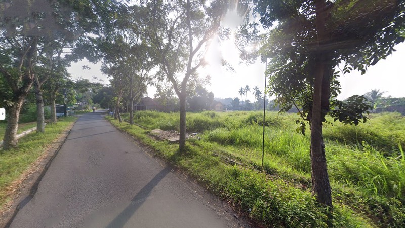 Dijual Tanah Sawah Premium Lokasi Strategis & Prospektif di Pandowoharjo, Sleman 