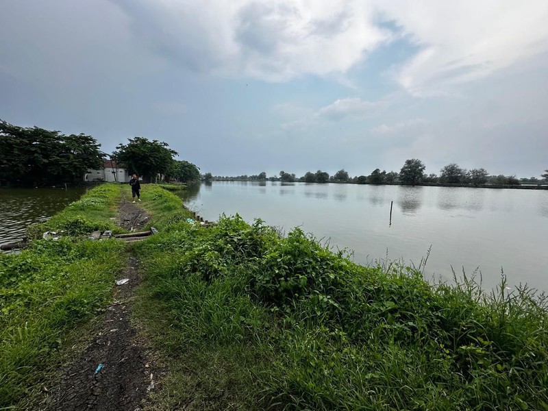 Dijual Tanah Kalanganyar Tambak Sedati