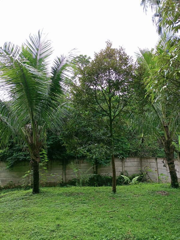 Villa Bagus Siap Pakai Di Villa Presiden, Kp Cikodom Cisarua Bogor Jawa Barat