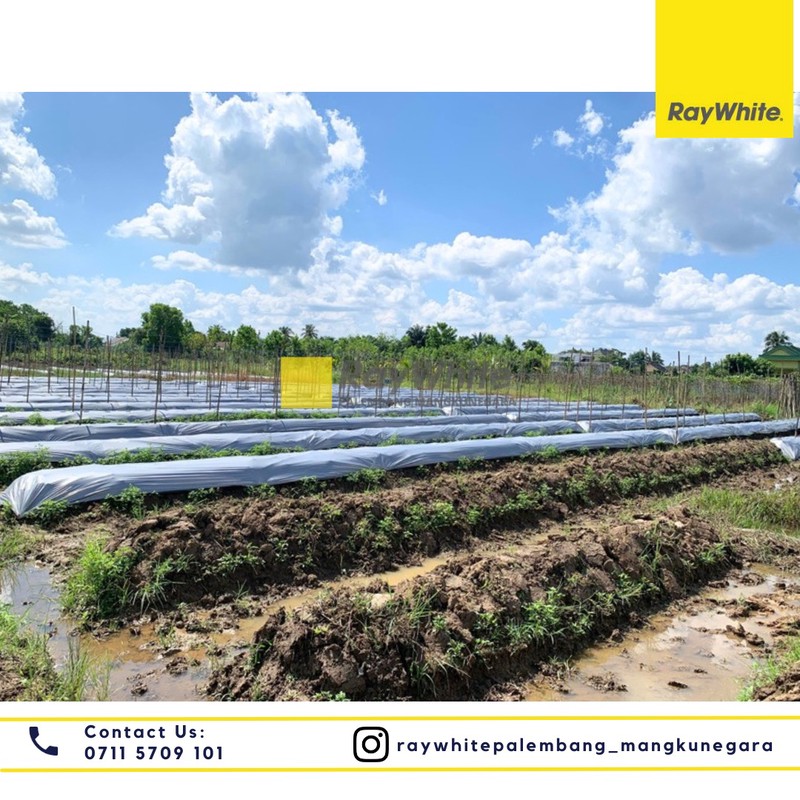 tanah jual murah palembang 