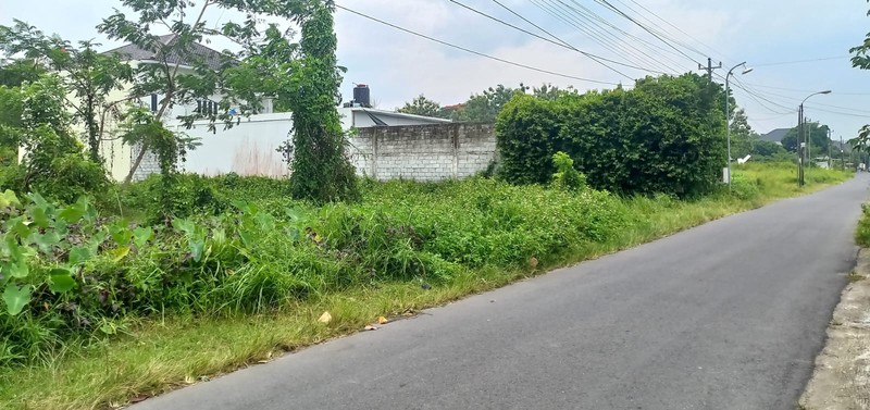 Lahan Produktif di Kawasan Asri Pandowoharjo 1.500 Meter Persegi Ideal untuk Cafe, Kost, atau Bisnis di Pandowoharjo Sleman  