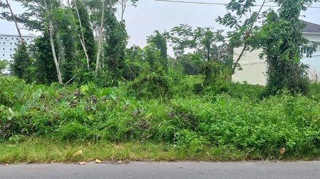 Lahan Produktif di Kawasan Asri Pandowoharjo 1.500 Meter Persegi Ideal untuk Cafe, Kost, atau Bisnis di Pandowoharjo Sleman  