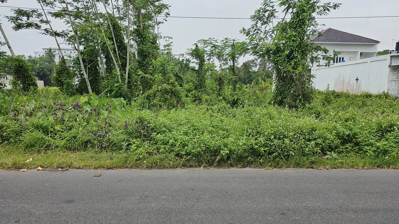 Lahan Produktif di Kawasan Asri Pandowoharjo 1.500 Meter Persegi Ideal untuk Cafe, Kost, atau Bisnis di Pandowoharjo Sleman  