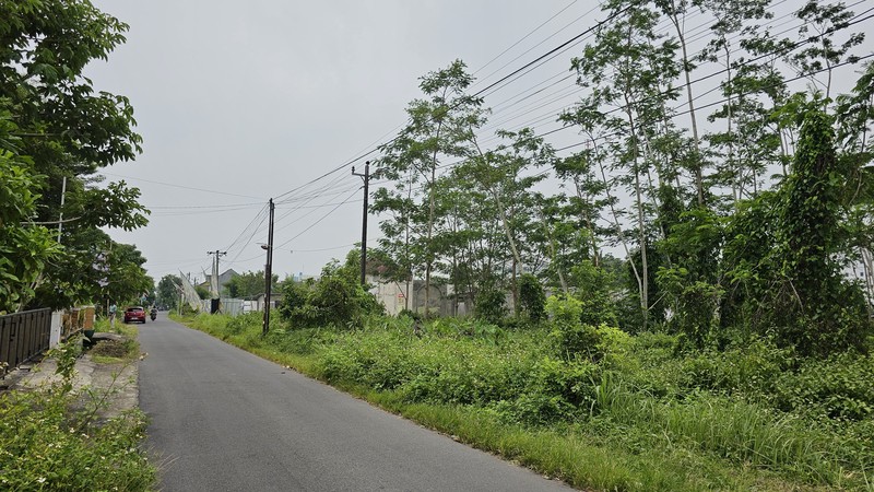 Lahan Produktif di Kawasan Asri Pandowoharjo 1.500 Meter Persegi Ideal untuk Cafe, Kost, atau Bisnis di Pandowoharjo Sleman  