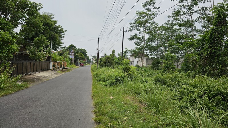 Lahan Produktif di Kawasan Asri Pandowoharjo 1.500 Meter Persegi Ideal untuk Cafe, Kost, atau Bisnis di Pandowoharjo Sleman  