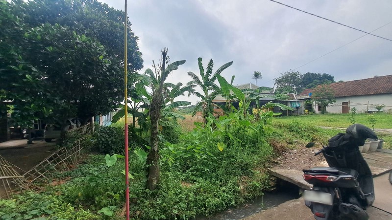Dijual Lahan Sawah Strategis di Dekat Kampus & Ring Road Selatan Bangunharjo, Sewon, Bantul