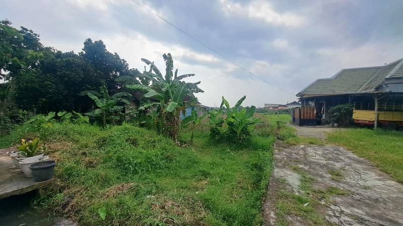 Dijual Lahan Sawah Strategis di Dekat Kampus & Ring Road Selatan Bangunharjo, Sewon, Bantul