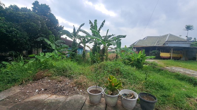 Dijual Lahan Sawah Strategis di Dekat Kampus & Ring Road Selatan Bangunharjo, Sewon, Bantul