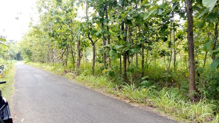 Tanah Luas 736 Meter Persegi Lokasi Stratehis di Kawasan Wonosari - Gunung Kidul 