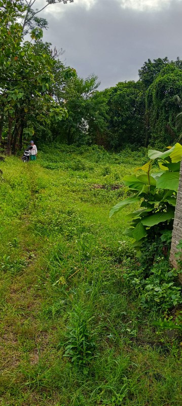 Tamah Luas 372 Meter Persegi Lokasi Strategis di Area Nogotirto Gamping Sleman 