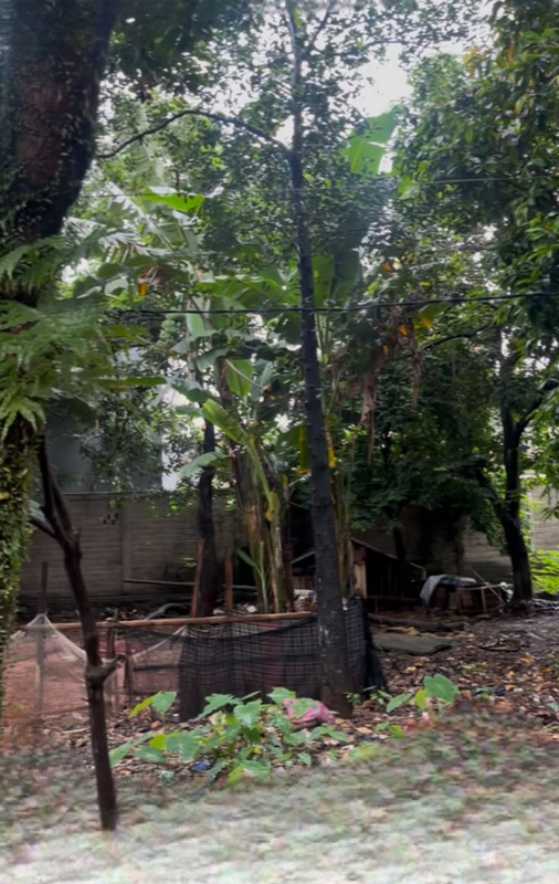 Dijual murah tanah bonus rumah di dalam gang, cocok untuk dibangun kos-kosan.