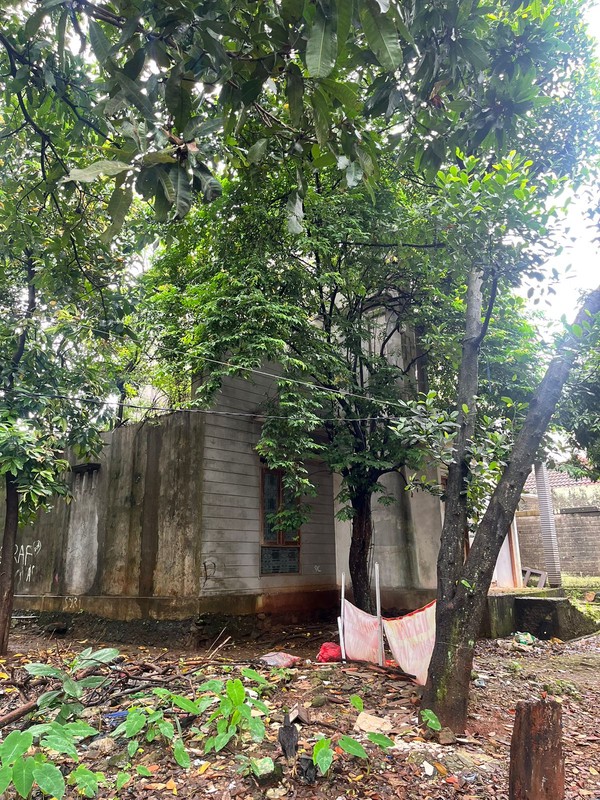 Dijual murah tanah bonus rumah di dalam gang, cocok untuk dibangun kos-kosan.