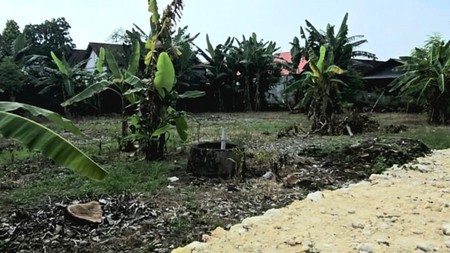 Dijual Murah Tanah Lahan Perkebunan di Desa Sukorejo Sidayu Gresik
