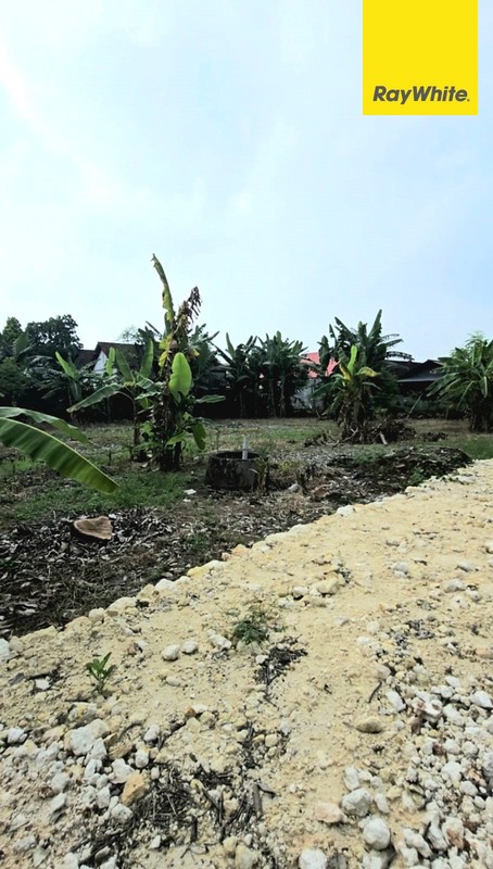 Dijual Murah Tanah Lahan Perkebunan di Desa Sukorejo Sidayu Gresik