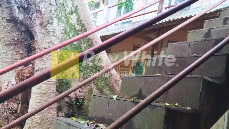 Rumah Bangunan Lama di Siliwangi