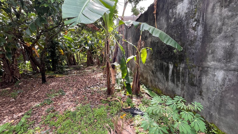 Tanah Strategis 485 Meter Persegi Cocok untuk Kost-Kosan & Guest House, di Condongcatur Sleman