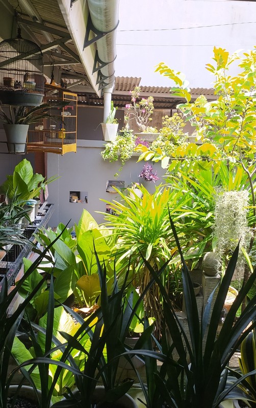 Nyaman banget meski pinggir jalan tidak jauh dari Cipadu Jurang Mangu Timur