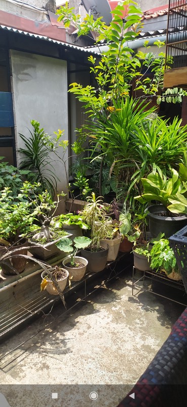 Nyaman banget meski pinggir jalan tidak jauh dari Cipadu Jurang Mangu Timur